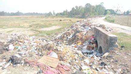 अमरिया: भिकारीपुर में कूड़े के ढेर से लोग परेशान, बीमारियां फैलने का सता रहा डर  #jansamasya
