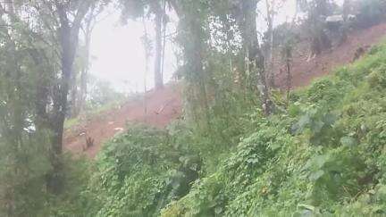 கூடலூர்: மாவட்டத்திற்கு ரெட் அலர்ட் - உதகை-கூடலூர் தேசிய நெடுஞ்சாலையில் இரவு நேர போக்குவரத்திற்கு தடை விதித்து ஆட்சியர் உத்தரவு