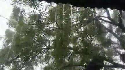 सेनगाव: तालुक्यात कोसळत असलेल्या मुसळधार अवकाळी पावसामुळे हळद लागवडीची कामे खोळंबोली, शेतकरी चिंतेत
