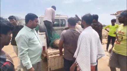 मोहनपुर: मुसैला: कुत्तों से डरकर भाग रहा जंगली हिरण गड्ढे में गिरा, ग्रामीणों ने बचाकर वन विभाग को सौंपा