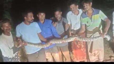 ગરબાડા: ગરબાડા તાલુકાના દેવધા ગામ ખાતેથી સાત ફૂટ લાંબા અજગરનું રેસ્ક્યુ કરાયું