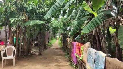 মোহনপুর: বৈরাগী পাড়ায় পূর্বের ঝগড়ার জেড়ে খুড়তুতো ভাইকে ঘরের ভেতর আগুন দিয়ে পুড়িয়ে মারার চেষ্টার অভিযোগ