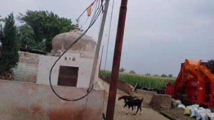 कासगंज: हिमायूंपुर गाँव में जर्जर तारों से हो रहे हादसों के खिलाफ ग्रामीणों ने उठाई ठीक करवाने की मांग