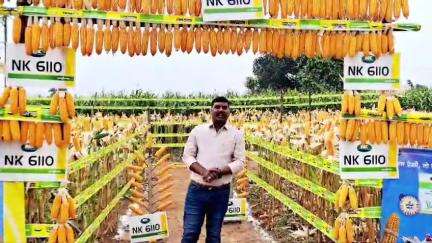 Krishna Tiwari wadrafnagar