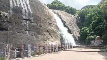 தென்காசி: குற்றால அருவிகளில் குளிக்க தடை விதிக்கப்பட்டுள்ளதால் நீரோடைகளில் உற்சாகத்தோடு குளித்த சுற்றுலா பயணிகள்