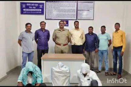 राजूरा: भुरकुंडा येथे प्रतिबंधित बीटी बियाणे बाळगाणारे इसमांविरुध्द गुन्हा दाखल, ४० किलो खुले चोर बीटी बीयाणे जप्त