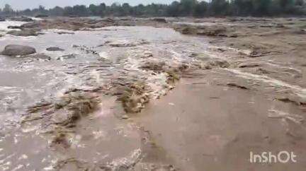 जळगाव: जळगाव जिल्ह्यात दमदार पावसाचे हजेरी चोपडा तालुक्यातील अनेर नदी भरून वाहत आहेत
