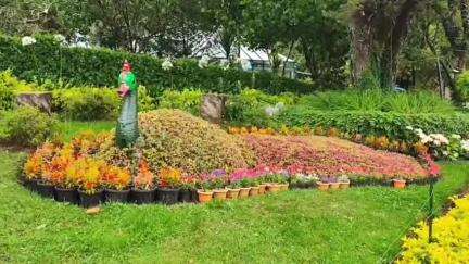கொடைக்கானல்: பிரையன்ட் பார்க்கில் மலர் கண்காட்சி பரிசளிப்பு விழா