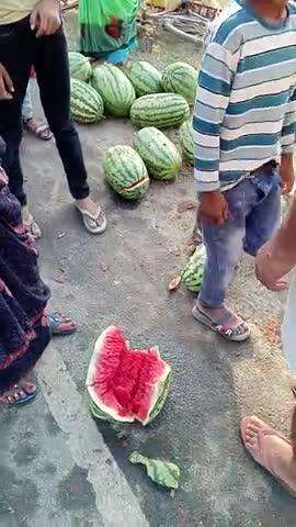 जलालाबाद, कोला रोड बीघापुर के पास मारी टक्कर बाइक सवार सो जाने के कारण हुआ एक्सीडेंट किसान का हुआ नुकसान गंभीर हालत CHC