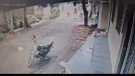 हातकणंगले: इचलकरंजी येथील व्यंकटेश कॉलनीत 3 भटक्या कुत्र्यांनी लहान चिमुकलीवर केला हल्ला
