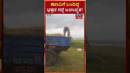 #shorts | Hassan Rain Effect | ಕಟಾವಿಗೆ ಬಂದಿದ್ದ ಭತ್ತದ ಗದ್ದೆ ಜಲಾವೃತ! | N18S