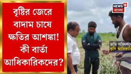 Jalpaiguri News : বৃষ্টির জেরে বাদাম চাষে ক্ষতির আশঙ্কা! কী বার্তা আধিকারিকদের?। Bangla News