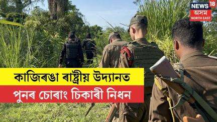 Kaziranga News। কাজিৰঙা ৰাষ্ট্ৰীয় উদ্যানত পুনৰ চোৰাং চিকাৰী নিধন। N18V