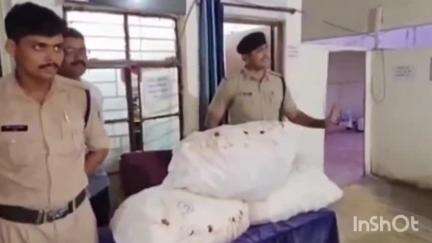 हुज़ूर: सिविल लाइन पुलिस ने प्रतिबंधित ओनरेक्स सिरप की 631 शीशियों को किया जब्त