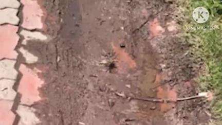 मिरज: मिरज:अंकलीत रमाईनगर गल्ली नंबर १ मधील काँक्रिटीकरण व अंडरग्राउंड गटार पूर्ण करा;ग्रामस्थांचा आंदोलनाचा इशारा #jansamasya