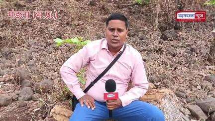 मंडलाः ग्राम जारगी के बीट में डिप्टी रेंजर के द्वारा बड़ा लूट खसोट का मामला उजगार
#mp_forest