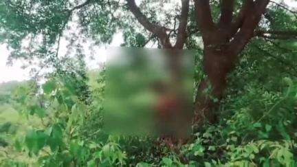 ଢେଙ୍କାନାଳ ସଦର: ଲମ୍ବୋଦରପୁର ଗ୍ରାମ ନିକଟ ଗଛରେ ଅଜଣା ଲୋକର ଝୁଲନ୍ତା ମୃତଦେହ ଠାବ