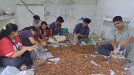 ইংরেজবাজার: ছাত্রছাত্রীদের স্বনির্ভর করার লক্ষ্যে রথবাড়ি এলাকায় মালদা কলেজে শুরু হল মাশরুম চাষের প্রশিক্ষণ শিবির