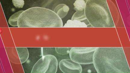 उच्च रक्तचाप से बचाव के तरीके (How to Protect High Blood Pressure)
