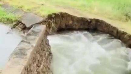 हरदा: भुवन खेड़ी गांव के पास नहर टूटने से किसानों के खेतों में भरा पानी, किसान परेशान