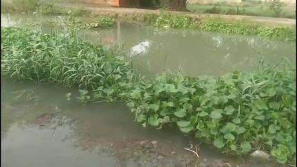 जलेसर: जिनावली में बंबा की पटरी से ऊपर पानी बहने से सड़क जलमग्न, ग्रामीणों ने प्रशासन से लगाई गुहार #Jansamasya