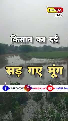 ।।HARDA।। खेत में भर गया पानी सड़ गई मूंग की फसल । #किसान #kisaan #short #viral #shorts #trand #viralreels #reel #reels