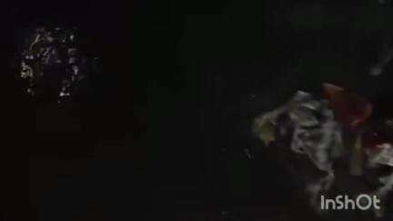 ठाणे: चेंदनी कोळीवाडा येथे रस्त्याला आले नाल्याचे स्वरूप, दुर्गंधी आणि आजारामुळे त्रस्त असलेले रहिवाशी संतप्त #jansamasya