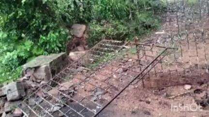 കോന്നി: കോന്നി കല്ലേലിയിൽ കാട്ടാന വീടിൻ്റെ ഗേറ്റ് തകർത്തു