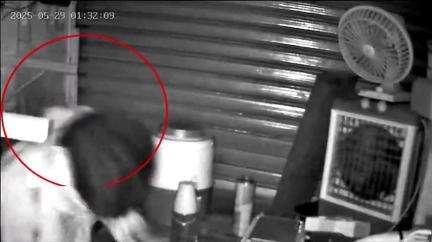 लाडपुरा: कोटा में मोबाइल शॉप में चोरी का CCTV फुटेज सोशल मीडिया पर वायरल, फुटेज में दो नकाबपोश बदमाश कैद