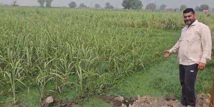 बागपत: तालाब के ओवरफ्लो होने के कारण टटीरी के किसान की 8 बीघा गन्ने की फसल जलमग्न, तालाब की चारदीवारी कराने की मांग#janasamsaya