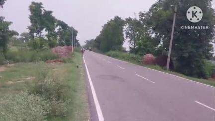 गुन्नौर: गांव हरदासपुर के समीप अज्ञात वाहन ने बाइक सवार युवक को मारी टक्कर, युवक की हुई मौत