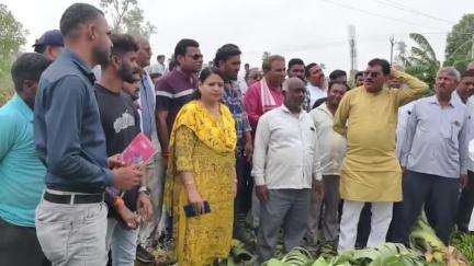 बुरहानपुर नगर: बुरहानपुर: राय गांव में केला फसल का नुकसान, सांसद ने किया निरीक्षण, अफसरों को रिपोर्ट के निर्देश