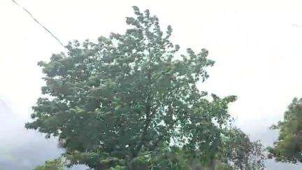 মঙ্গলকোট: নিম্নচাপের প্রভাব মঙ্গলকোটে, সকাল থেকেই রয়েছে মেঘলা আকাশ, শুরু হয়েছে ঝোড়ো হাওয়া, মাঝেমধ্যেই পড়ছে ঝিরঝিরে বৃষ্টি