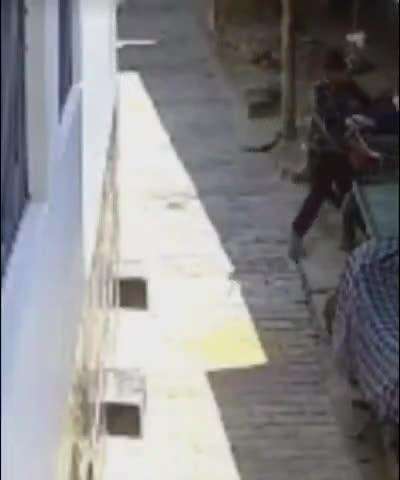 नवाबगंज: मसौली में दिनदहाड़े साइकिल चोरी, CCTV में कैद वारदात का वीडियो हुआ वायरल
