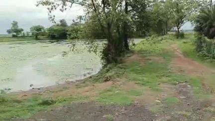 রামপুরহাট ১: রামপুরহাট দুমকা রাস্তায় হাজিরা তলা মোড় এলাকার একটি পুকুর পাড় থেকে উদ্ধার এক বালতি বালতি বোমা