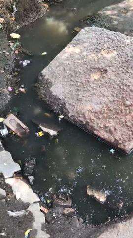राजाजीपुरम के पुराना टिकैत राय तालाब इलाके में गंदी नाली और मच्छरों से लोग परेशान #jansamasya