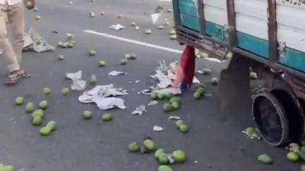 अथमलगोला: अथमलगोला थाना क्षेत्र के करजान गांव में फोरलेन पर पिकअप का टायर फटने से सड़क पर गिरा आम