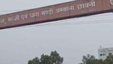 अम्बाला: अंबाला अनाज मंडी में सूरजमुखी की आवक शुरू, 1 जून से सरकारी खरीद, पंजीकृत किसानों को ही मिलेगा प्रवेश
