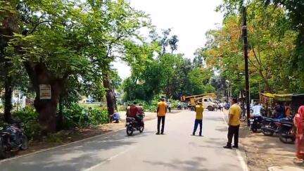 मंडला: जिला शिक्षा अधिकारी कार्यालय के सामने सूखे पेड़ को कटवाने के लिए अधिकारियों को लेनी पड़ी सीएम हेल्पलाइन की मदद