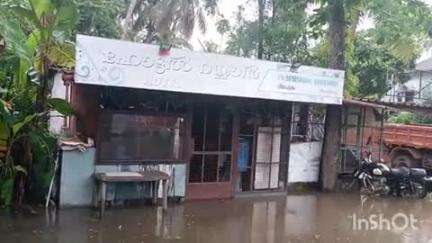 കാർത്തികപ്പള്ളി: വീയപുരത്ത് വെള്ളപ്പൊക്ക പ്രതിരോധ പ്രവർത്തനം ഊർജ്ജിതമാക്കണമെന്ന ആവശ്യം ശക്തം #localissue