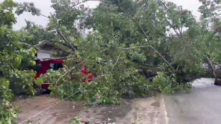 বিহপুৰীয়া: কাঁহিপৰাত পথৰ ওপৰত উভালি পৰিল প্ৰকাণ্ড গছ,লালুক-বিহপুৰীয়া সংযোগী ঘাইপথত যাতায়ত ব্যাহত,ক্ষতিগ্ৰস্ত ৰখাই থোৱা এখন বাহন