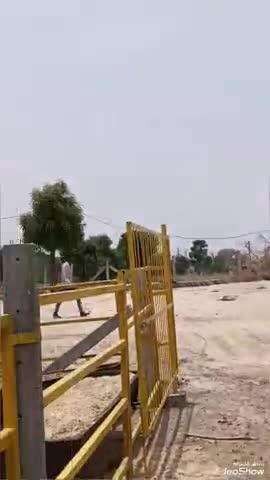 मालपुरा: श्रीराम नारायण गौशाला मालपुरा में निराश्रित गौमाता का हो रहा निशुल्क उपचार, हजारों गौमाता का इलाज