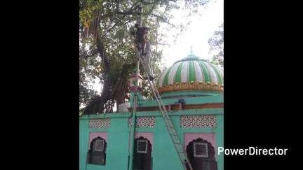 नाहन: पक्का टैंक क्षेत्र में बंदरों के उत्पात से बत्ती डेढ़ घंटे रही गुल, गर्मी से लोग हुए बेहाल