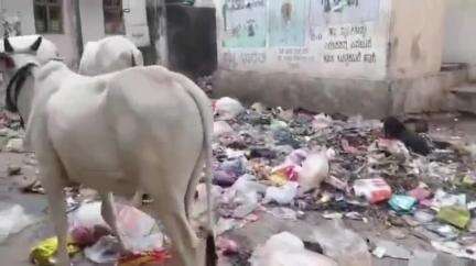 ಇಳಕಲ್‌: ನಗರದಲ್ಲಿ ಪೌರಸೇವಾ ನೌಕರರಿಂದ ಮುಷ್ಕರ : ಗಬ್ಬೆದ್ದು ನಾರುತ್ತಿರುವ ನಗರ#localissue