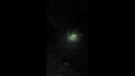 बुलढाणा: शहरातील खालीद बिन वलीद नगर येथे बिबट्या आल्याने नागरिकांत भीती, व्हीडिओ व्हायरल