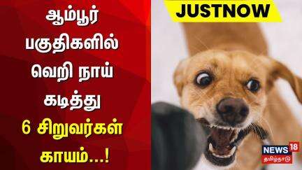 திருப்பத்தூர் : ஆம்பூர் பகுதிகளில் வெறி நாய் கடித்து 6 சிறுவர்கள் காயம் | Just Now | Dog Bite