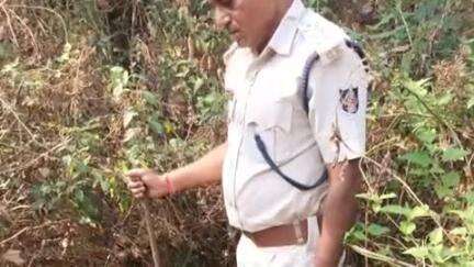 ବୌଦ୍ଧ ସଦର: ତିତିରିକଟା ଗ୍ରମ ନାଳ ଭିତରେ ଚାଲି ଥିବା ଦେଶୀ ମଦ ତିଆରି ଆଡାରେ ବୌଦ୍ଧ ଅବକାରୀ ଚଢ଼ାଉ