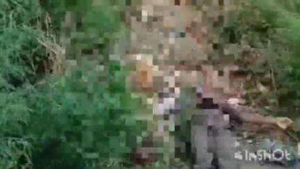 रामनगर: तपेसिपाह गांव में घाघरा नदी के पुल के नीचे एक व्यक्ति का शव मिला, क्षेत्र में फैली सनसनी, पुलिस जांच में जुटी