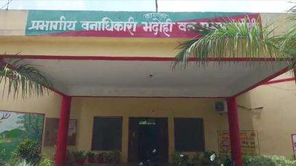 ज्ञानपुर: मानसून में जिले में लगाए जाएंगे 12.60 लाख पौधे