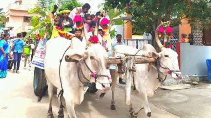 ಚಿತ್ರದುರ್ಗ: ಜಿಲ್ಲೆಯಾದ್ಯಂತ ಸಂಭ್ರಮದ ಶಾಲಾ ಪ್ರಾರಂಭೋತ್ಸವ:ಮೆದೇಹಳ್ಳಿಯಲ್ಲಿಎತ್ತಿನ ಗಾಡಿಯಲ್ಲಿ ಬಂದ ಮಕ್ಕಳಿಗೆ ಗುಲಾಬಿ ಹೂ, ಬಲೂನ್ ನೀಡಿ ಸ್ವಾಗತ